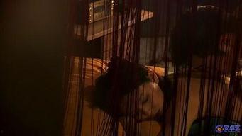 治愈者中床戏,情感救赎与心灵疗愈的交织之旅