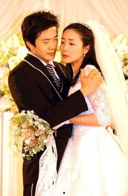 韩剧爱的阶梯国语,跨越时光的深情之旅