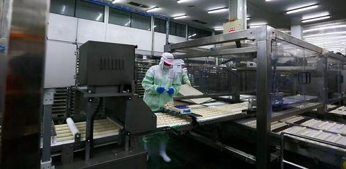 兴化安井的车间图片,现代化食品加工生产线全景展示