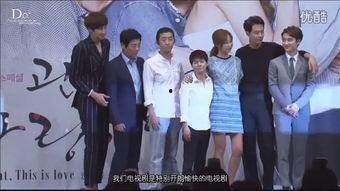 国语韩剧有哪些,跨越语言的魅力之旅