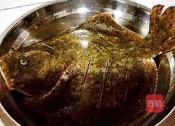 八宝鱼图片,色彩斑斓的海洋珍馐