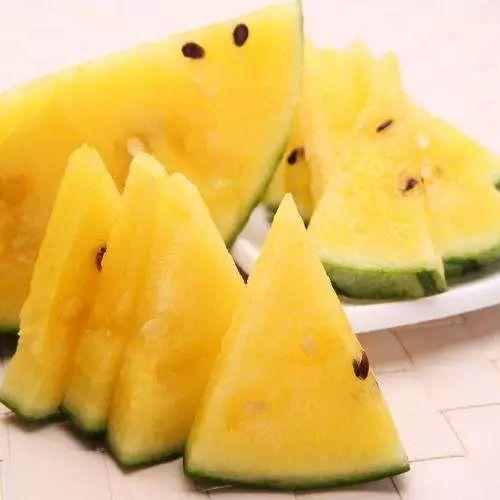 51黑料吃瓜网站长工具,网站长工具助力吃瓜群众轻松追踪热点事件