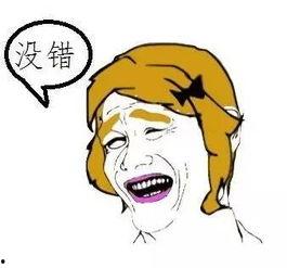 日本兵库北,探寻日本历史与现代交融的璀璨明珠