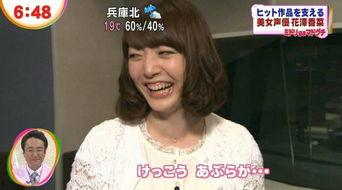 日本兵库北,探寻日本历史与现代交融的璀璨明珠