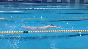 游泳在线观看,在线观看游泳赛事的精彩瞬间