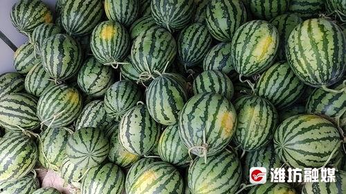 网爆门黑料吃瓜二区,二区吃瓜群众热议事件真相