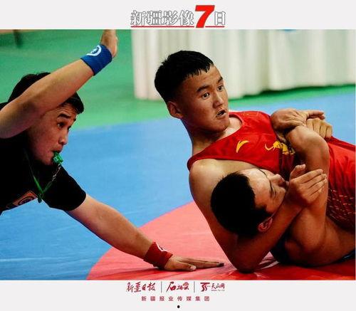 日本摔跤摸鸡视频,一场别开生面的摔跤盛宴