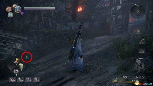 笼中之王国语,揭秘封闭世界的生存法则