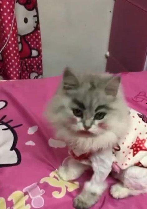 忙完了可以休息的图片,享受片刻宁静时光