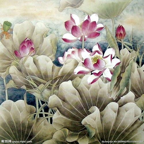 红色莲花图片,绽放的革命之花