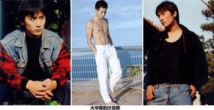 刘烨在日本,文化交融与情感共鸣