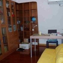 瘌痢头图片,传统皮肤病的历史与现状