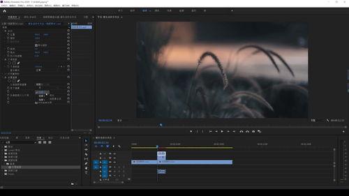 视频种类,从纪录片到娱乐秀的精彩世界