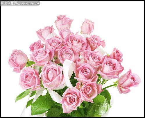 鲜花图片,探索鲜花图片中的自然魅力