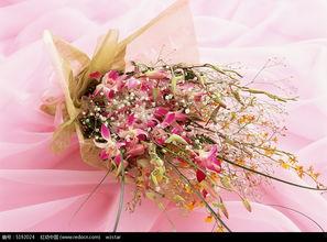 鲜花图片,探索鲜花图片中的自然魅力