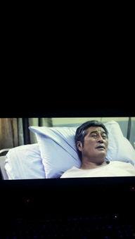 孟兰神功 国语 下载,揭秘古老秘术的国语传承之旅