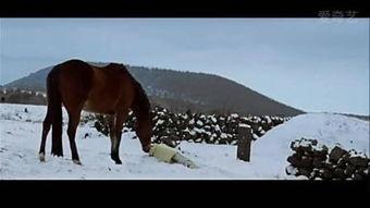 李连杰龙之吻国语版,李连杰演绎江湖情仇，热血青春传奇