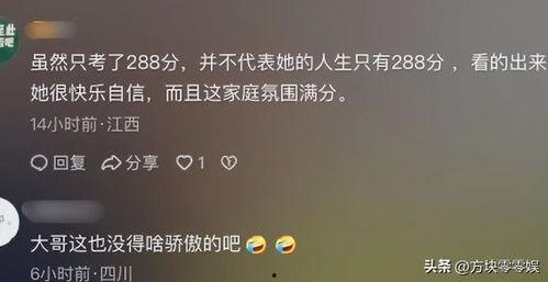 分数视频,分数背后的奥秘与运用技巧