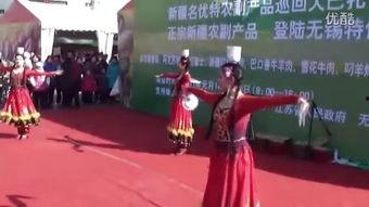 民族舞舞蹈视频大全