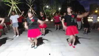 民族舞舞蹈视频大全