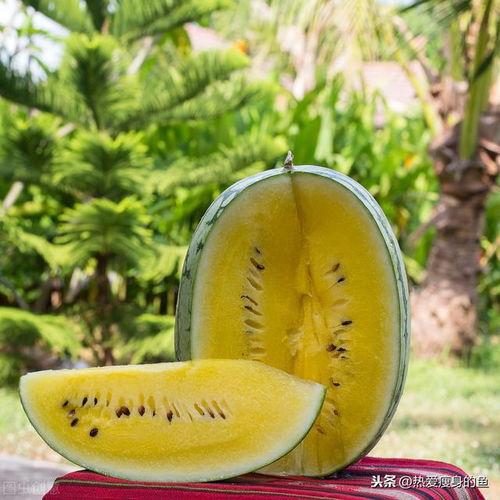 黑灯吃瓜,揭秘夜幕下的神秘故事