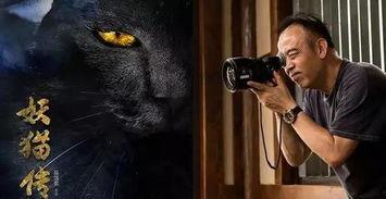 猫电影国语,探寻神秘猫电影的奇幻之旅