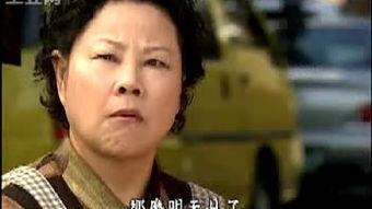 菜鸟变凤凰国语,逆袭之路的励志传奇