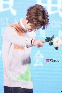 鹿晗的手图片大全集,解锁明星独特手势美学